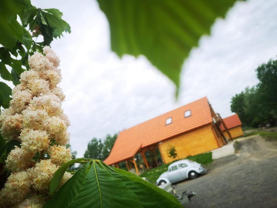 Tomajor Vendeghazak Daire Tiszaeszlar Dış mekan fotoğraf